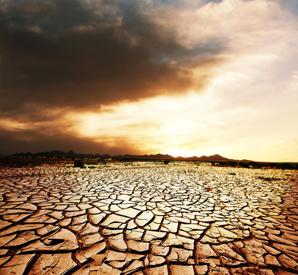 Tierras de sequía
 - Foto, Imagen