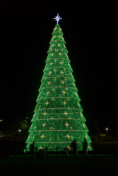 Arbre de Noël au parc Barigui à Curitiba Parana Brésil. - Photo, image