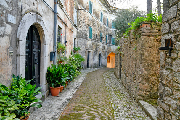 Castro dei Volscin kapea katu keskiaikaisessa Lazion kaupungissa Italiassa. - Valokuva, kuva