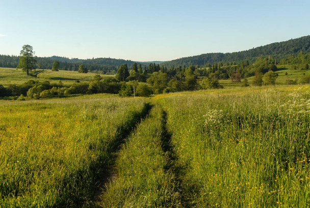 Dirt road among green meadows on a sunny day, Bieszczady Mountains, Poland - Fotó, kép