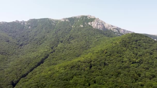 montañas en el verde vista desde el aire - Imágenes, Vídeo