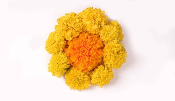 Yellow flowers of Marigold isolated on white background. - Foto, Imagem
