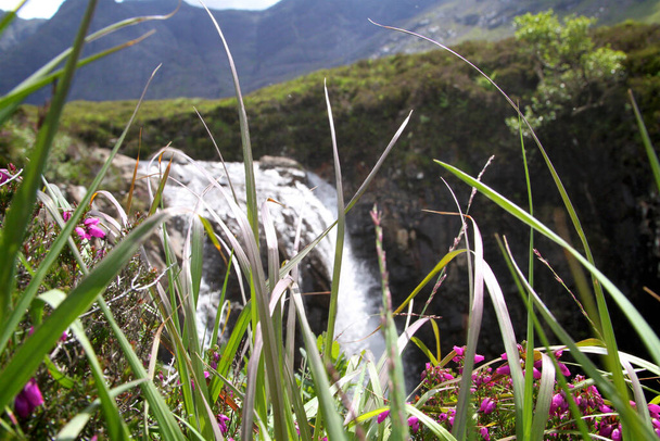 uitzicht op de waterval verduisterd door grassprieten met heuvels op de achtergrond.  - Foto, afbeelding