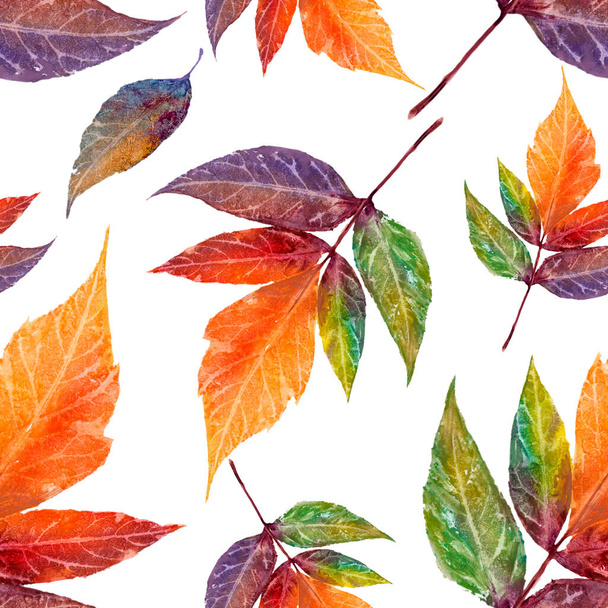 Streszczenie tła jesiennych liści. Jesienne tło. Wzór - Zdjęcie, obraz