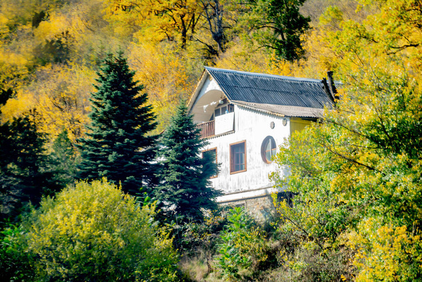 Одинокий дом в глубоком лесу. Осенний пейзаж с домом и лесами. Красивая архитектура коттеджей. Красивые дома - Фото, изображение