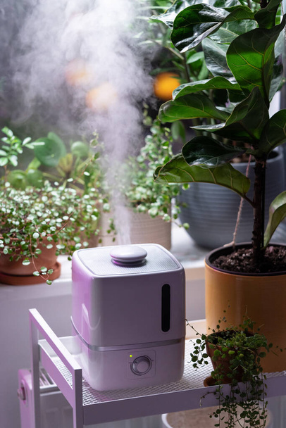 Steam from humidifier, moistens dry air surrounded by indoor houseplants. Home garden, plant care - Foto, imagen