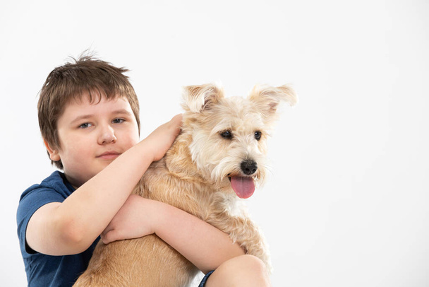 Young boy holds his dog in his arms and strokes it. Subject isolated from the background. - Fotoğraf, Görsel