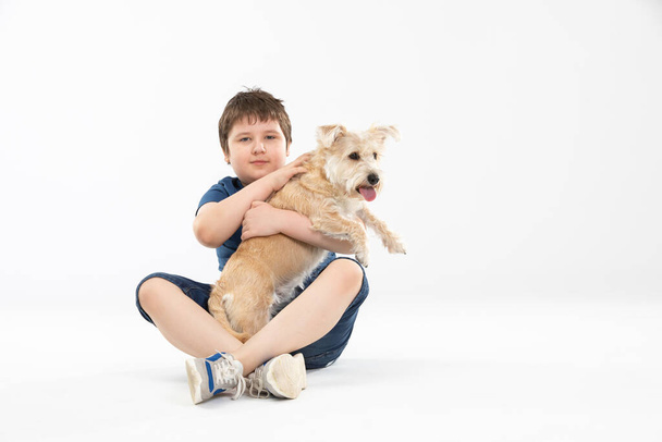 A young boy sits on a white background and in his hands he holds his beloved dog. - Fotó, kép