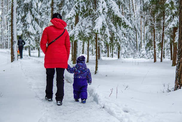 mother and son to walk the snow-covered forest. - Фото, изображение