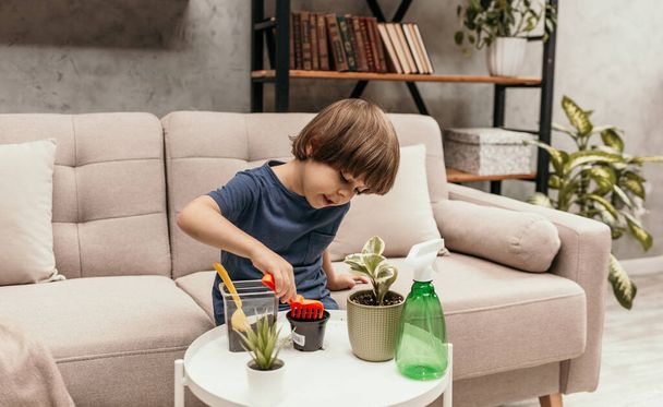 Um menino caucasiano está sentado no sofá e transplantando uma planta em vaso - Foto, Imagem