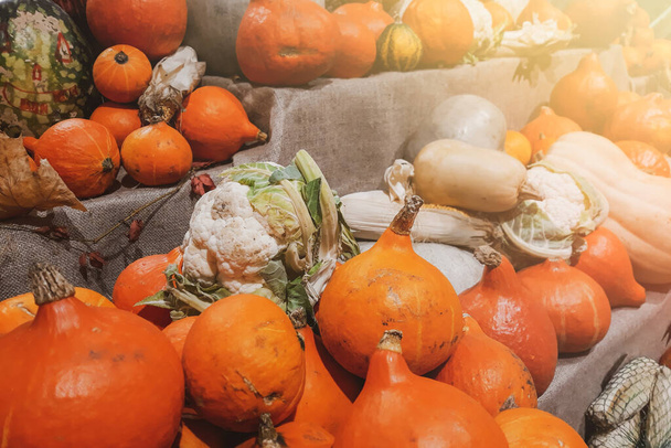 Citrouilles fraîches au marché fermier à la campagne. Récolte, Halloween et symbole d'action de grâces. Légumes mûrs sur étagères à vendre. - Photo, image