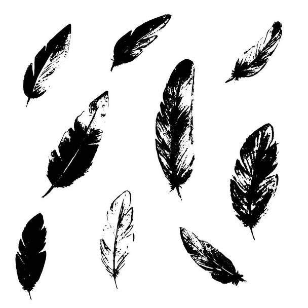 silhouette of black and white feathers - Vector, Image