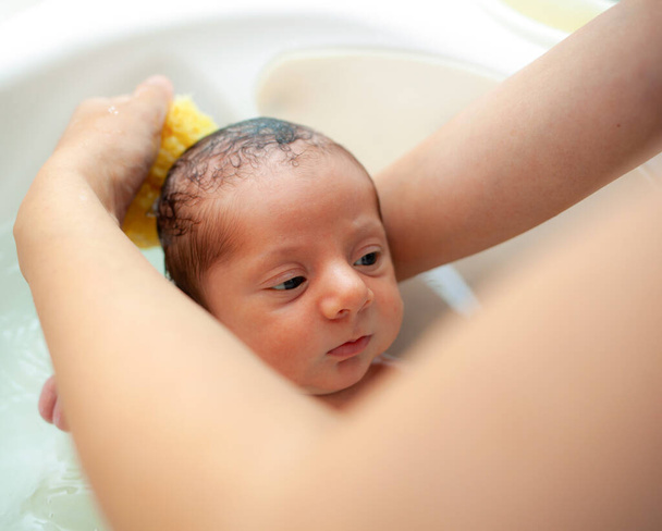 新生児の男の子の最初の風呂.お母さんは自然なスポンジで赤ちゃんを洗います. - 写真・画像