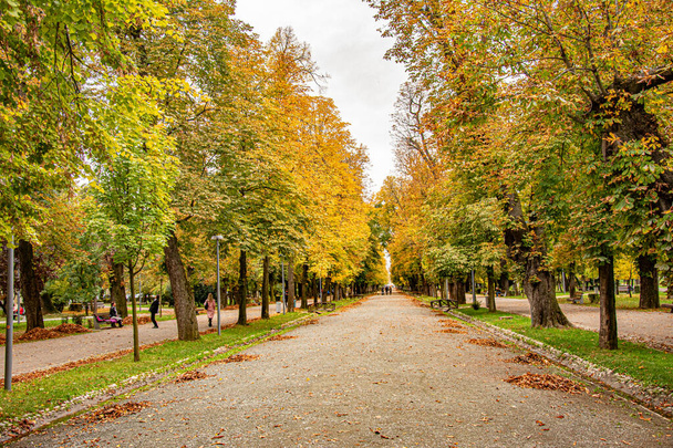 Красивая аллея в парке, золотая осень. Люди, гуляющие в парке осенью - Фото, изображение