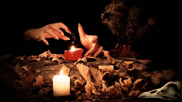 Pagan witchcraft. Witch hands making passes above burning candles among magic herbs, dry leaves, acorns and a birds skull in the dark, selected focus. - Foto, afbeelding