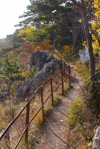 Magnifique sentier de randonnée à côté de rochers escarpés dans une belle forêt de pins. Fragmentation idyllique.  - Photo, image