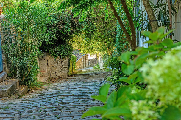 Picture of a romantic cobblestone street overgrown with trees and leaves in the medieval town of Motovun in central Istria during the day in the summertime - Фото, изображение
