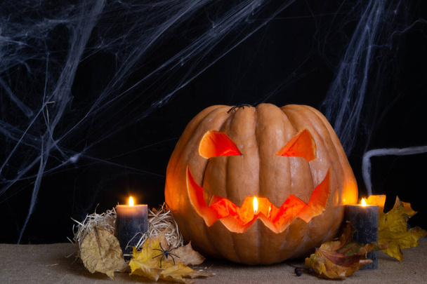 The studio photo of Pumpkin, burning candles and spiderweb on dark background. Halloween conceptual photo. - Photo, Image