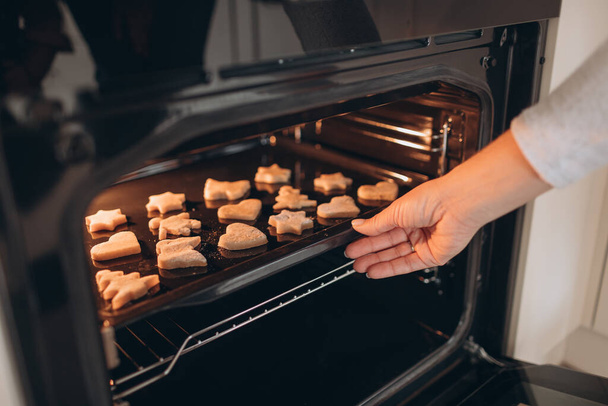 Young mother puts cookies in the oven  - Foto, Imagen