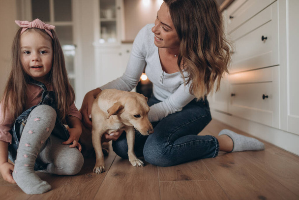 Familia joven en la sala de estar jugando con un perro  - Foto, Imagen