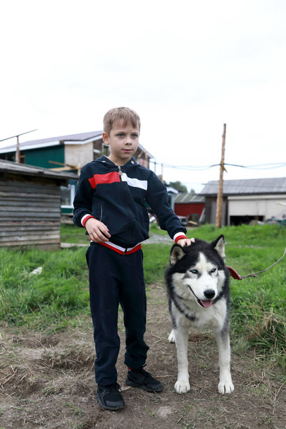 Kid with husky dog in summer, Karelia - Φωτογραφία, εικόνα