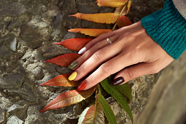 Hands of a beautiful woman on autumn leaves background. Delicate hands with colorful manicure touching leaves. Multicolored nails in fall colors. - Фото, зображення