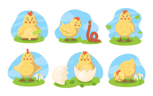 Set of cute little newborn chick on a green meadow in cartoon style. Isolated vector illustrations collection pack of a chicken eating grass, worm, egg shell. Yellow child bird clipart on blue sky. - Vector, Image