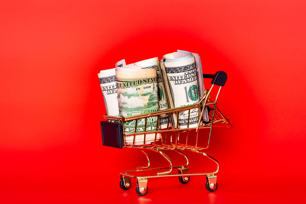 Mini shopping cart with money dollars. Trolley and money. Financial crisis or shopaholic concept. - Foto, Imagem
