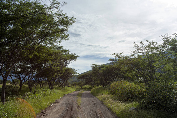 paisaje de camino de tierra con andes montañas en loja ecuador durante la hora dorada - Foto, Imagen