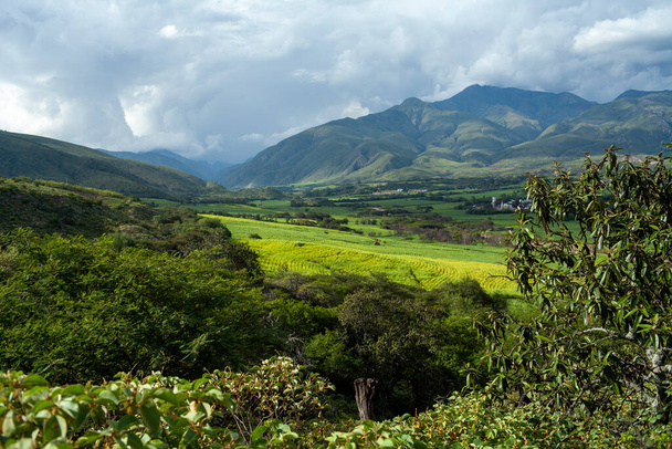paisaje de plantaciones de caña de azúcar verdes montañas en loja, ecuador - Foto, imagen