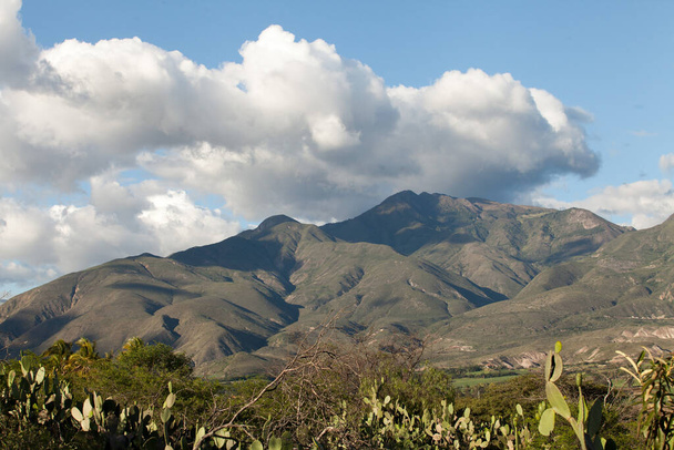アンデス山脈を背景にしたサボテン乾季カントリーサイド - 写真・画像
