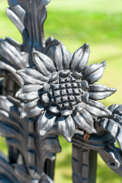 Květinový ornament železo. Součást antické zakřivené plotu ve Varšavě. - Fotografie, Obrázek