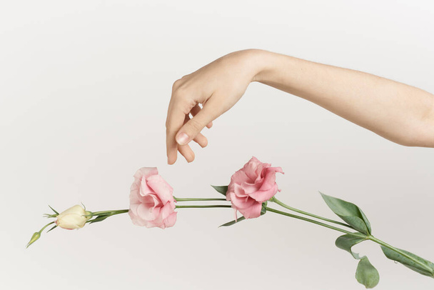 female hand flowers decoration fashion light background - Foto, Bild