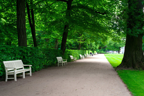 Széles alley fehér zöld nyári Lazienki park padokkal. - Fotó, kép