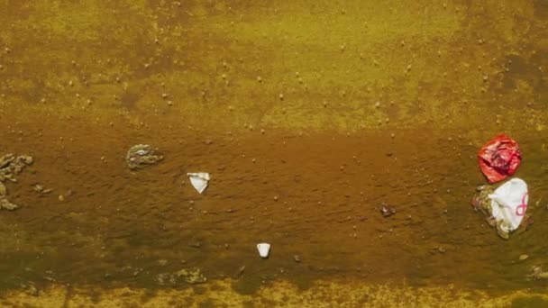 Vista de arriba hacia abajo en el flujo de río urbano sucio seco contaminado con bolsas de plástico EE.UU. - Imágenes, Vídeo