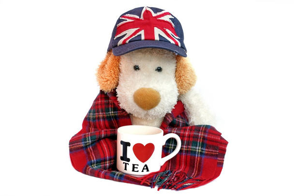 Vecchio cane inglese con tazza da tè
 - Foto, immagini