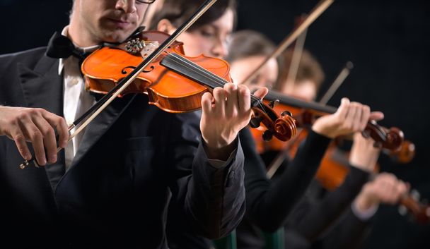 Violin orchestra performing - Foto, immagini