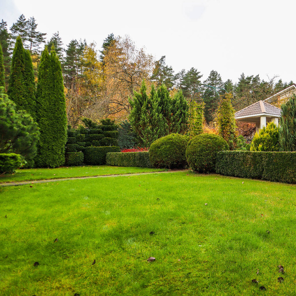 Landscaping van een tuin met een groen gazon, kleurrijke decoratieve struiken en gevormde taxus en buxus, in de herfst. - Foto, afbeelding