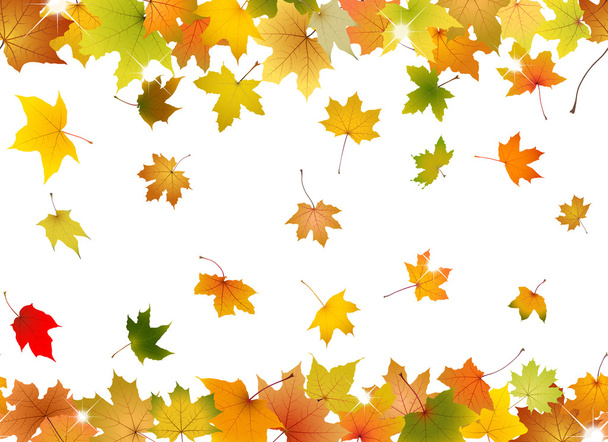 Seamless autumn leaves - Vector, Image