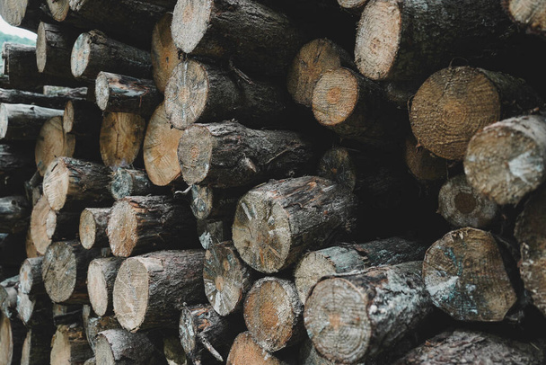 A pile of wood logs - Foto, afbeelding