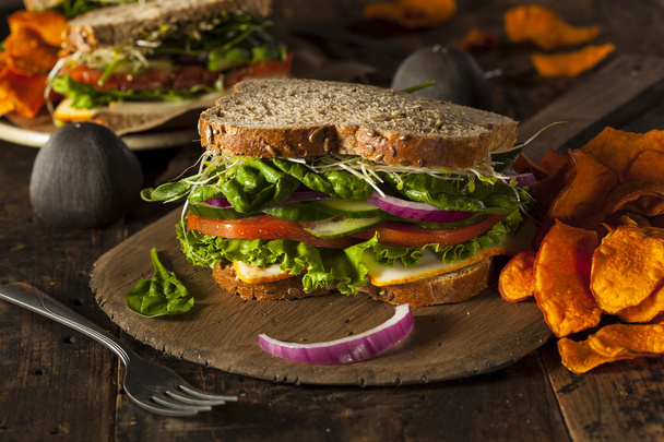 Healthy Vegetarian Veggie Sandwich - Foto, immagini