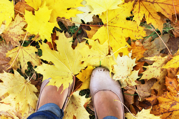 Gele herfst bladeren en vrouw voeten - Foto, afbeelding