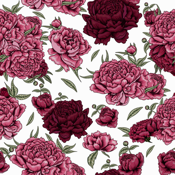  Varrat nélküli vektor minta illusztráció virágok, levelek és rügyek rózsaszín és burgundi bazsarózsa fehér alapon - Vektor, kép