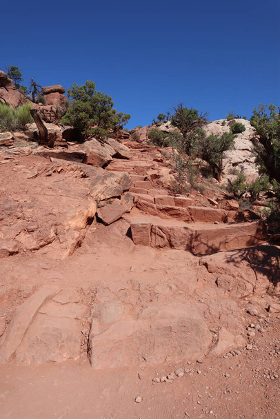 A vertical shot of the scenic view of rugged red rock path among landscape in Canyonlands - 写真・画像