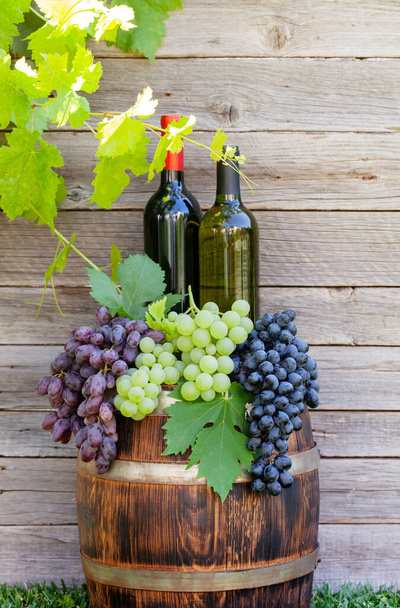 Různé barevné hrozny a láhve vína na sudu vína na venkovní slunné zahradě před dřevěnou stěnou - Fotografie, Obrázek