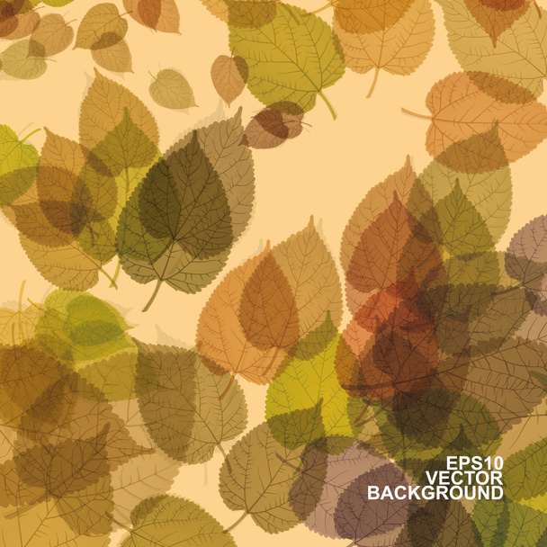 Colorful Autumn Leaves Background - Vector, afbeelding