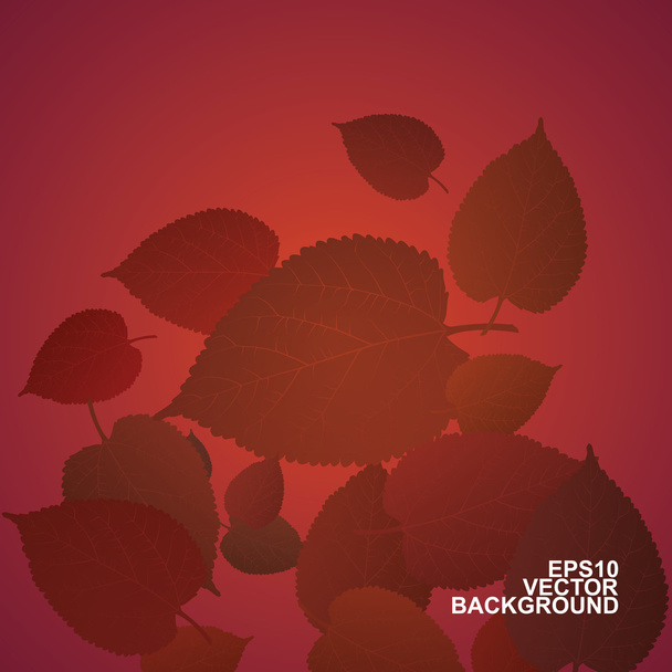 Colorful Autumn Leaves Background - Vector, Imagen