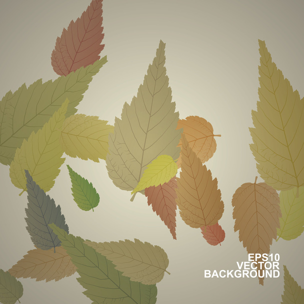 Colorful Autumn Leaves Background - Vector, imagen
