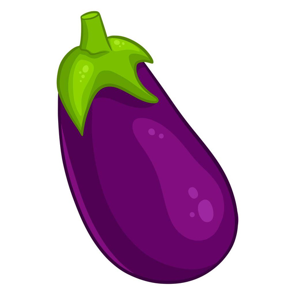 Fresh eggplant. Bright eggplant. Vegetable ingredient for the kitchen. - Вектор, зображення