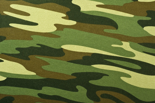 Camouflage Arrière-plan - Photo, image